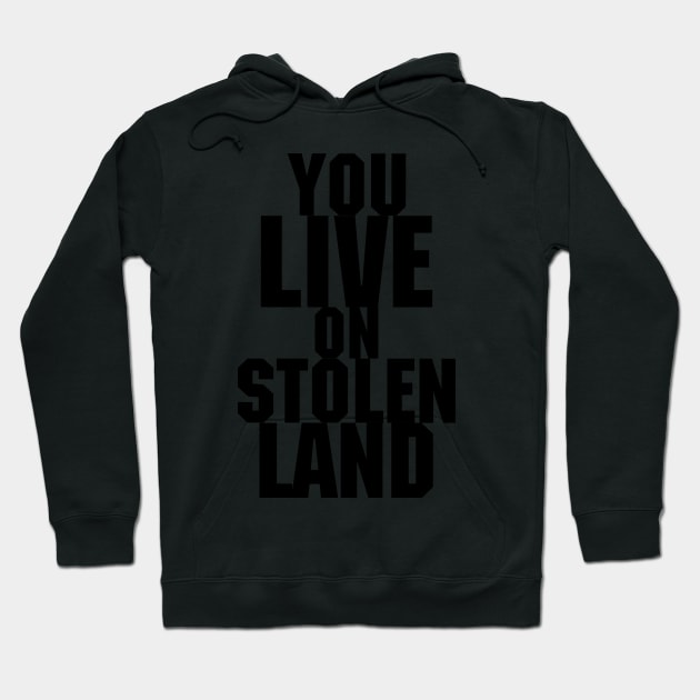 You live on stolen land Hoodie by Beautifultd